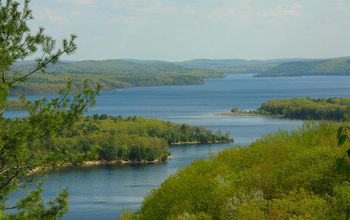 Forests around Quabbin Reservoir in Massachusetts